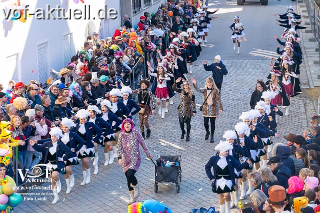 Foto Laudi_Faschingszug_Hofkirchen-64.jpg